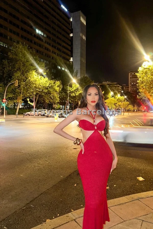 Foto de Barbie - 7